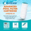 Hurricane 4 Pack HF8316-01 Advanced Pool Filter Cartridge Replacement For PXST150, Unicel C-8316, Filbur FC-1286, Hayward X-Stream CC1500 -Liceria & Co. GUEST 11fc8fa1 8f2f 4914 8739 81847cd61aa8