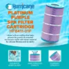Hurricane Filters HF8411-01P Platinum Purple Pool Cartridge For PWWCT75, Unicel C-8411, Filbur FC-1255, Waterway Clearwater II Pro-Clean 75 (3 Pack) -Liceria & Co. GUEST 5cce1c15 b683 4ee4 82b7 fcb16ecad2e8 1