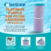 Hurricane 4 Pack HF4326-01 Platinum Purple Spa Filter Cartridge For PRB25, Unicel C-4326, Filbur FC-2375, Dynamic Series I RDC-25, Waterway 25 In-Line 2 Hurricane 4 Pack HF4326-01 Platinum Purple Spa Filter Cartridge For PRB25, Unicel C-4326, Filbur FC-2375, Dynamic Series I RDC-25, Waterway 25 In-Line -Liceria & Co. GUEST be02772c 1c49 47ac b347 59cb0b1ec5ac 2
