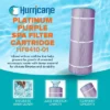 Hurricane 3 Pack HF8410-01P Platinum Purple Spa Cartridge Replacement For PJANCS200, Unicel C-8418, Filbur FC-0823, Jandy Industries CS 200 -Liceria & Co. GUEST e834f061 5927 4869 90c6 3641aa8c935c 1