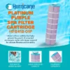 Hurricane Filters HF8418-01P Platinum Purple Spa Filter Cartridge - Replacement For Pleatco PJANCS200, Unicel C-8418 And More -Liceria & Co. GUEST eda3745a fb82 41bf a3e3 46e44aa4ddca 1