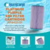 Hurricane Filters HF4H21-01P Platinum Purple Pool Filter Cartridge - For PTL18P4, Unicel 4CH-21, Filbur FC-0136, Pageant Spa Top Load -Liceria & Co. GUEST f0ca22d7 1fbc 446e 94bf 1eca955d59cb 2