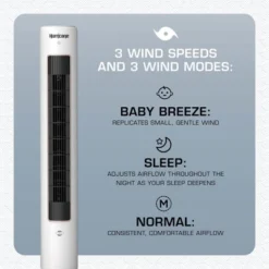 Liceria & Co. -Liceria & Co. GUEST f58881b0 a4fb 4a01 82bf f8938fe2acf7